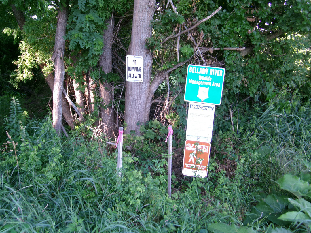 Bellamy River Wildlife Management Area-Dover必去景点