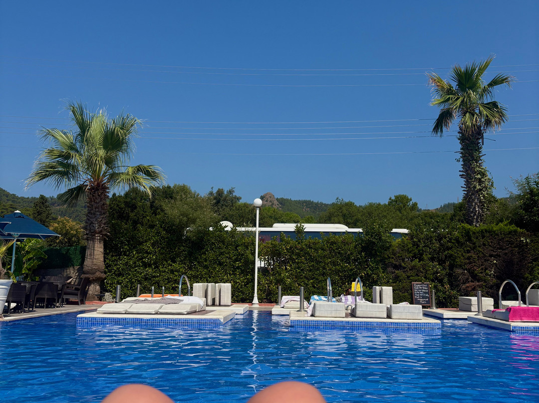 Club Alpina Apartments Hotel主图
