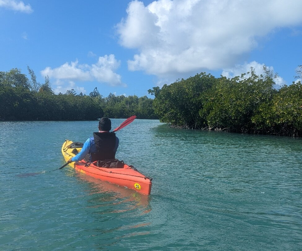 Sea Kayak Adventures-毛里求斯必去景点