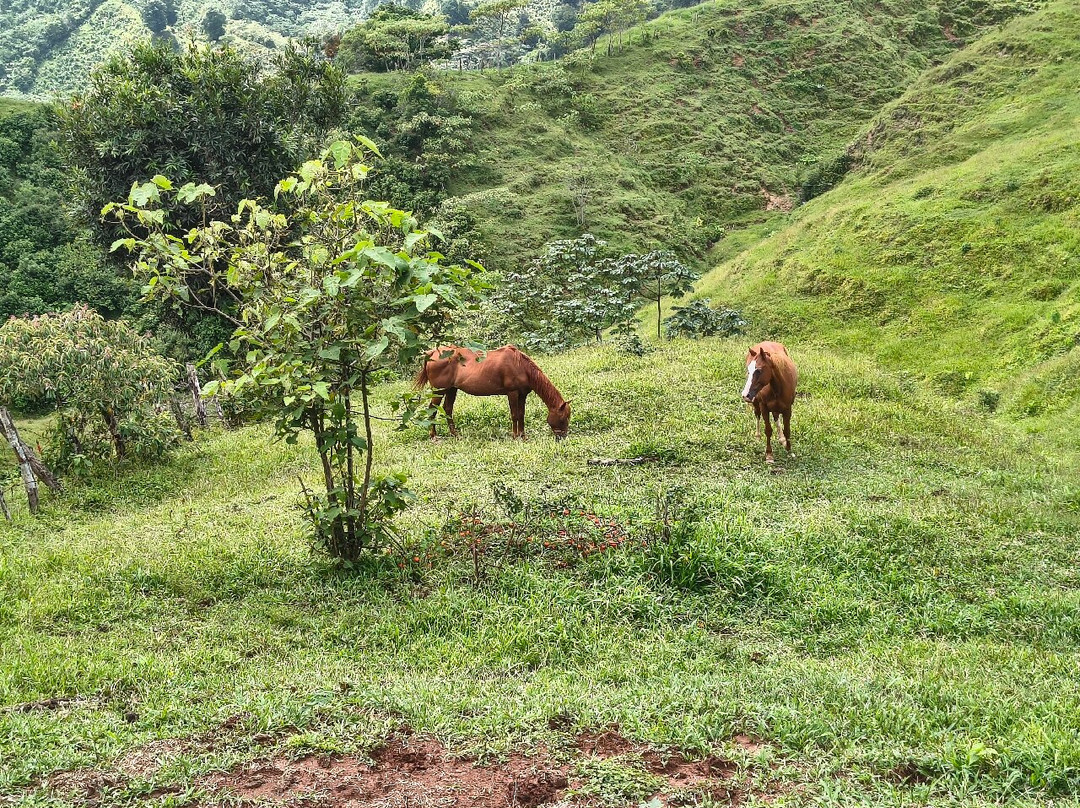 Vive Trekking México-Cuetzalan del Progreso必去景点