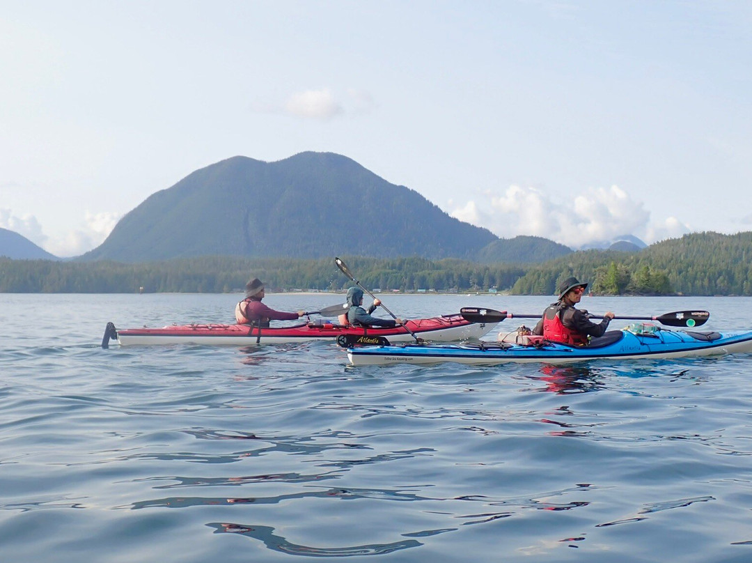 Tofino Sea Kayaking Day Tours-托菲诺必去景点