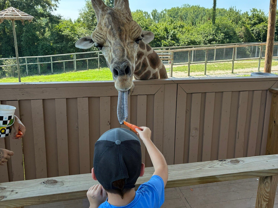 Broadway Zoological Park-Broadway必去景点