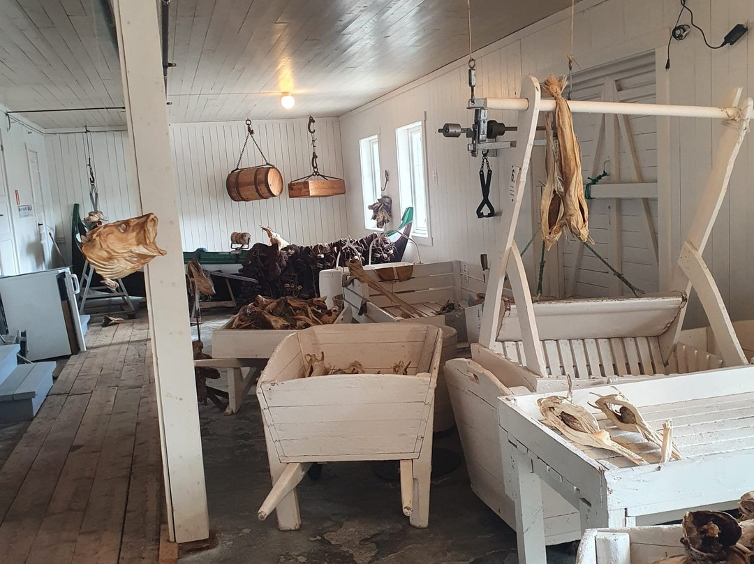 Lofoten Stockfish Museum-Moskenes Municipality必去景点