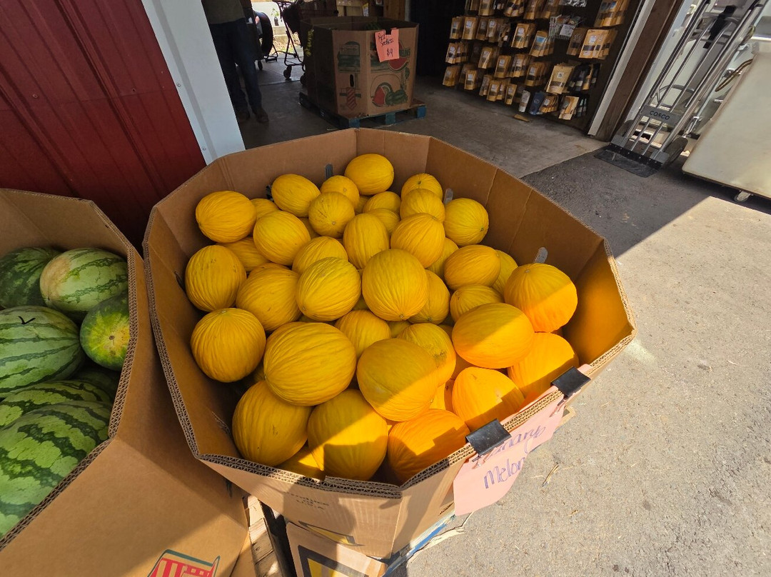 Burger's Farm Market-Drums必去景点