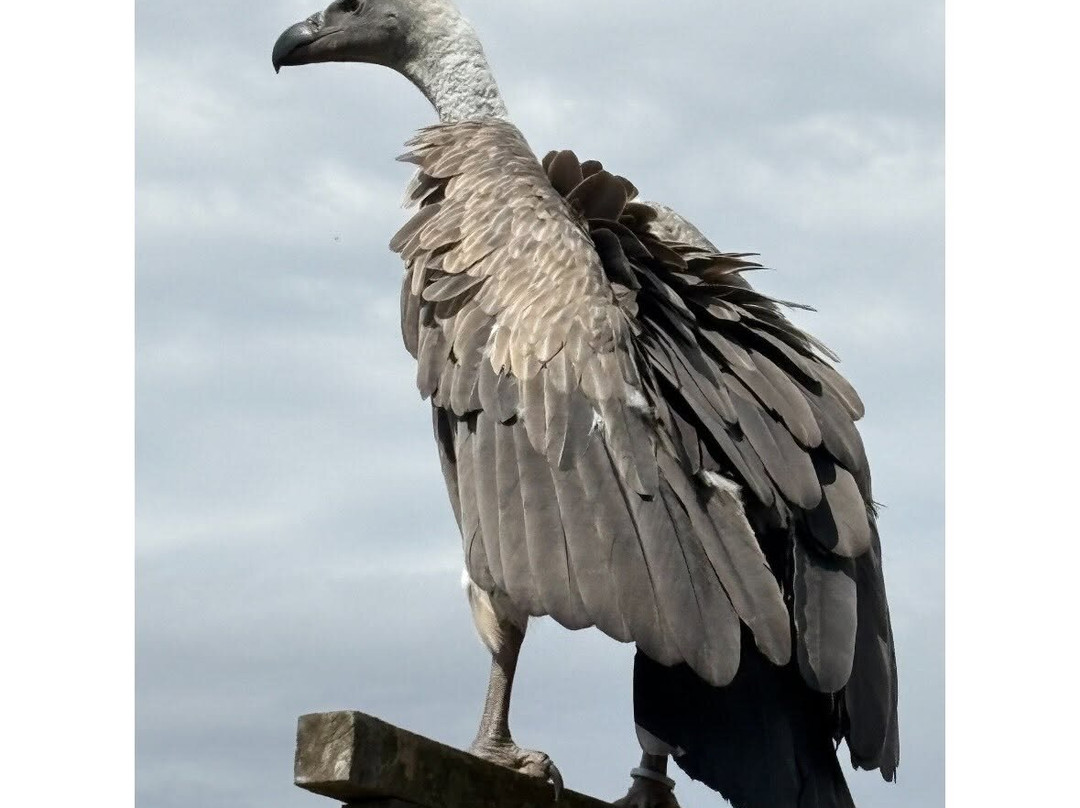 Wild Zoological Park-Bobbington必去景点