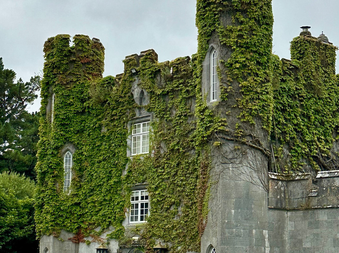 Dromoland Castle-Newmarket-on-Fergus必去景点