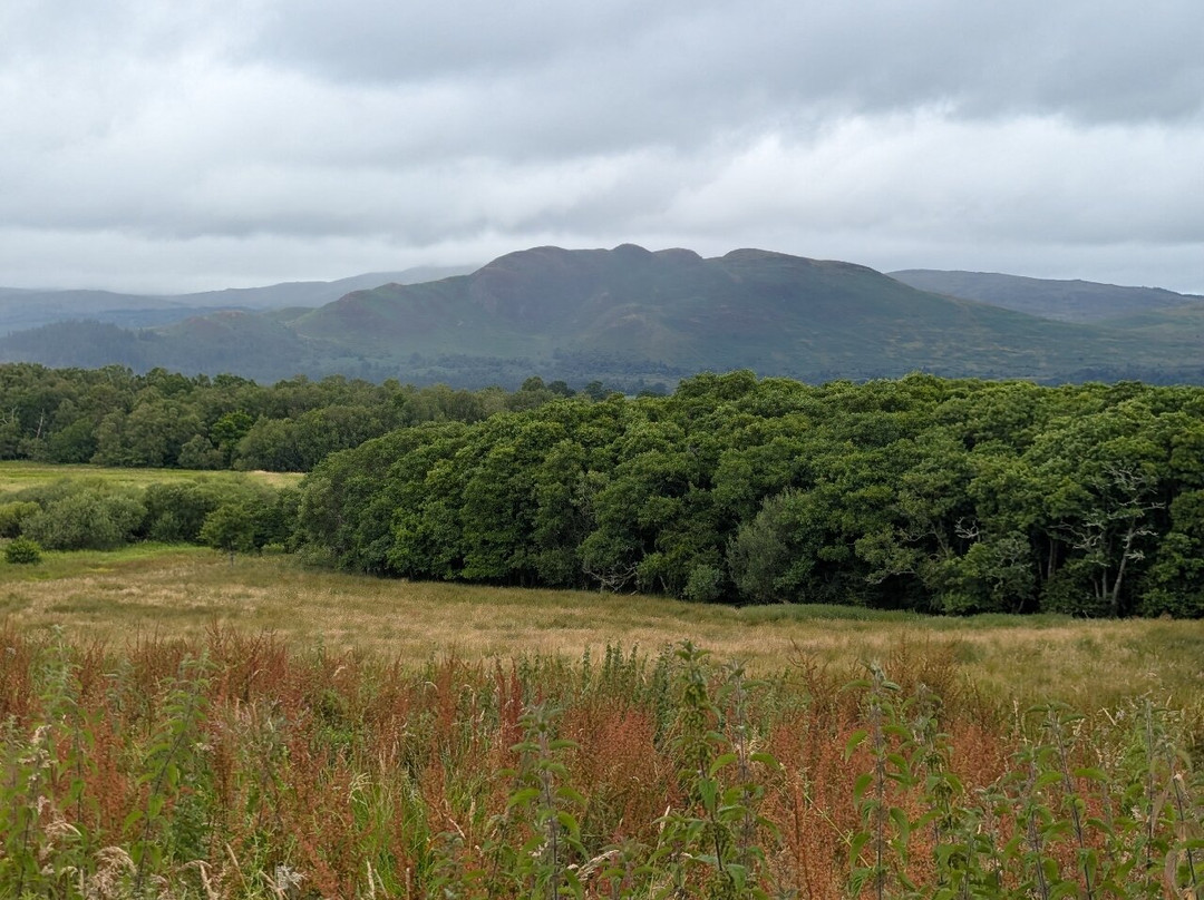 RSPB Scotland Loch Lomond-Gartocharn必去景点