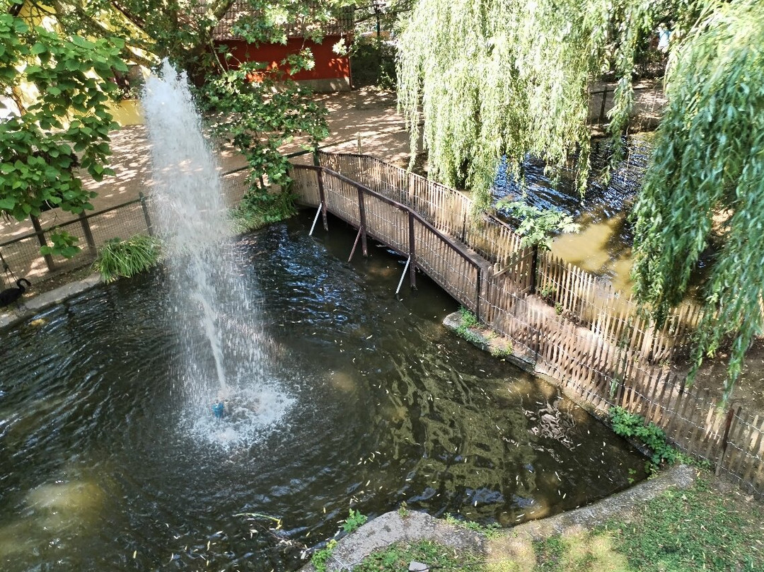 Cigoland - Parc des Cigognes et Attractions-Kintzheim必去景点