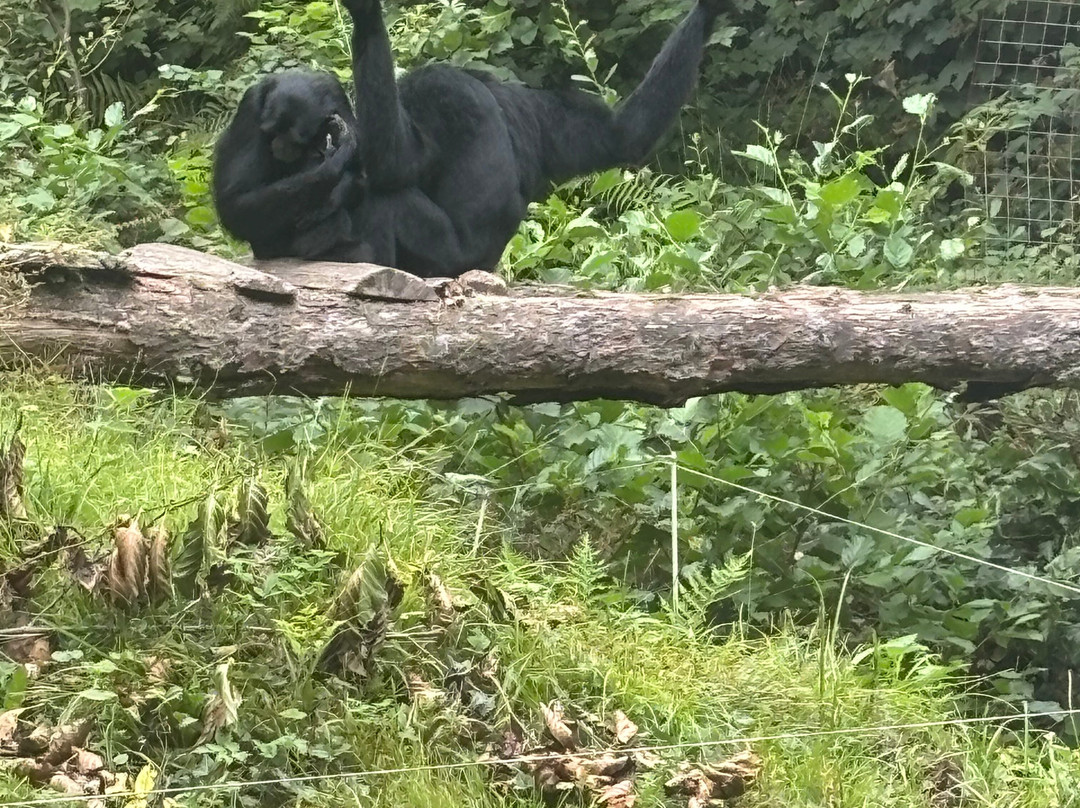 Manor Wildlife Park-St. Florence必去景点