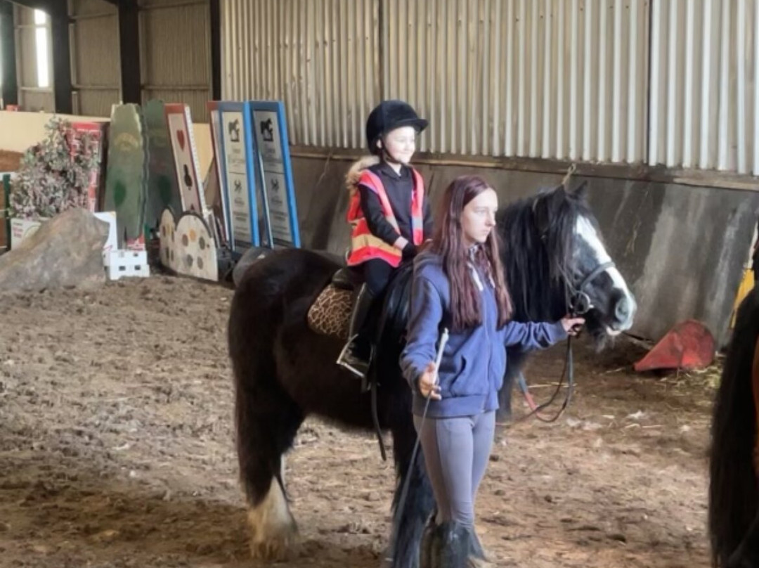 Orchard Farm Equestrian-斯凯格内斯必去景点