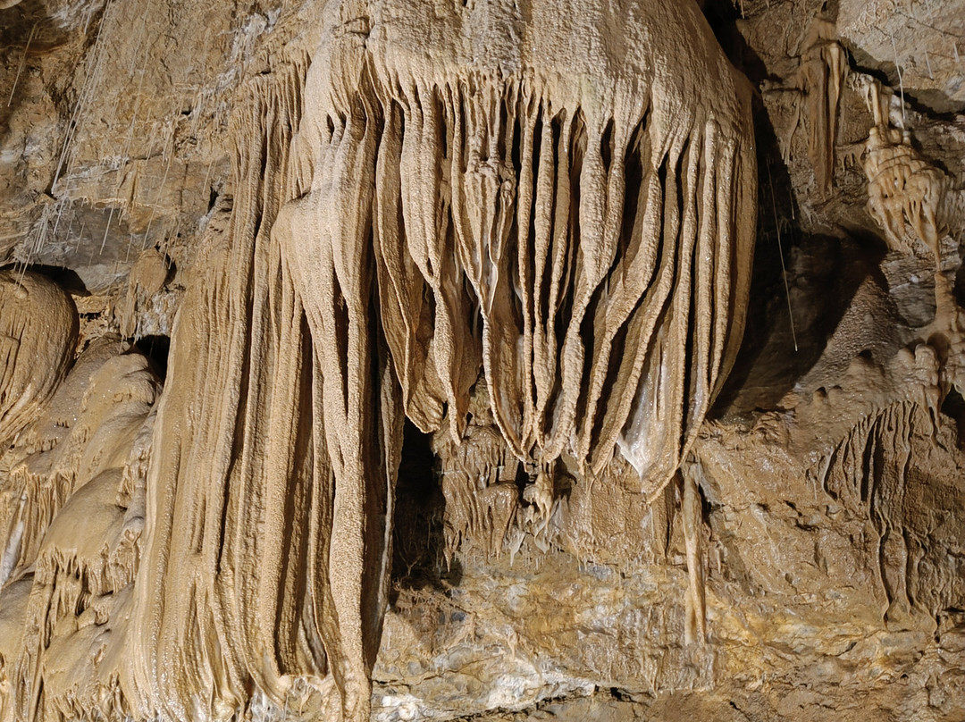 Grotte de Trabuc-Mialet必去景点