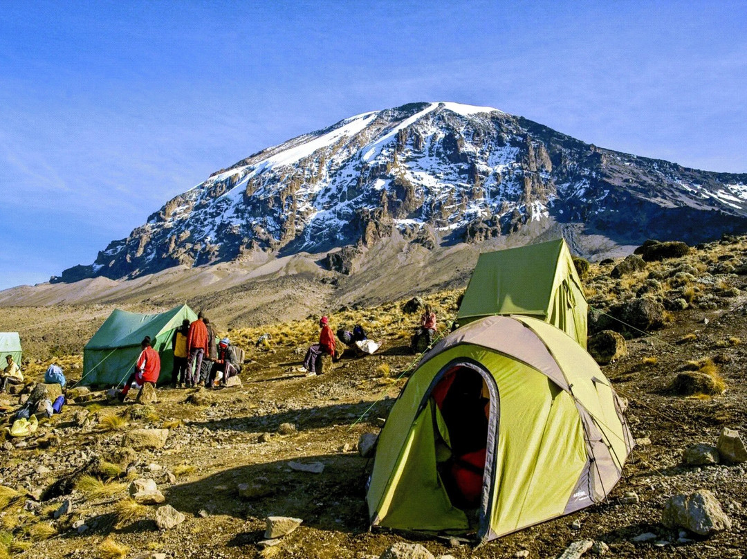Mount Kilimanjaro-乞力马扎罗山国家公园必去景点
