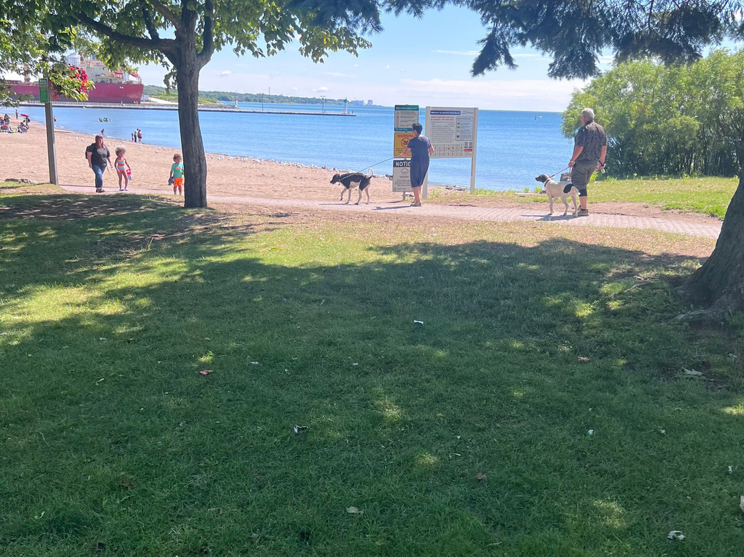 Lakeview Park-奥沙瓦必去景点