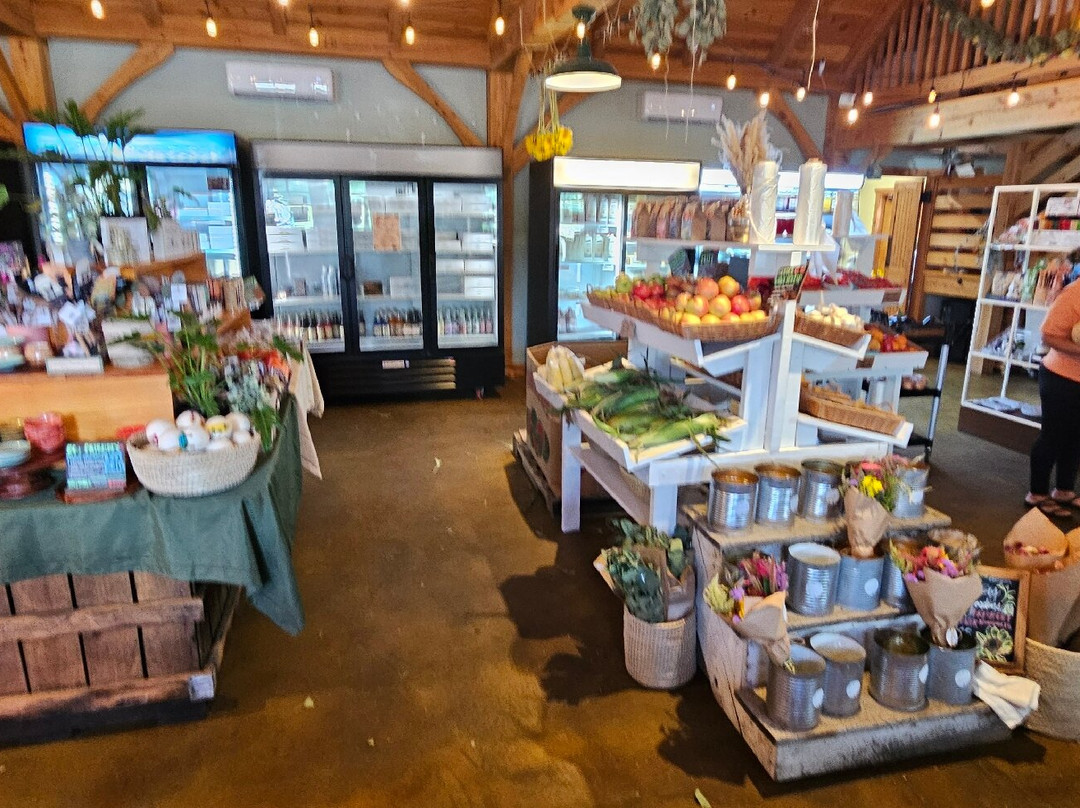J's Farm Market-Bel Air必去景点