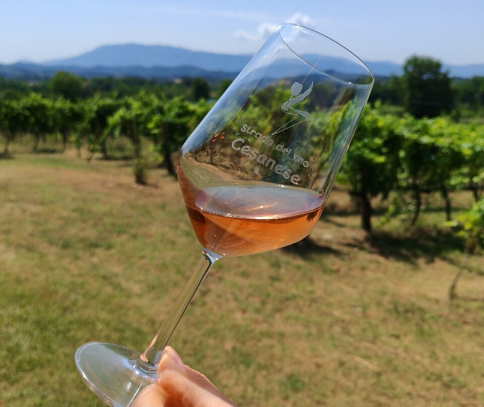 Azienda Vitivinicola Pileum-Piglio必去景点