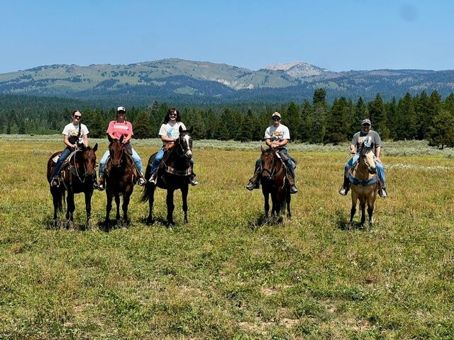 Yellowstone Horses - Eagle Ridge Ranch-艾兰帕克必去景点