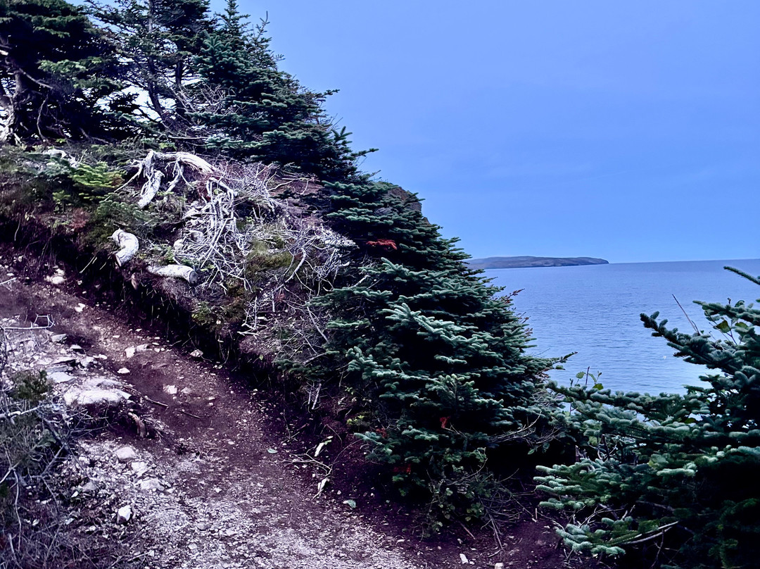 Skerwink Trail-Port Rexton必去景点