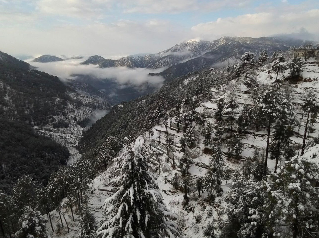 Whispering Pines Resort Mukteshwar