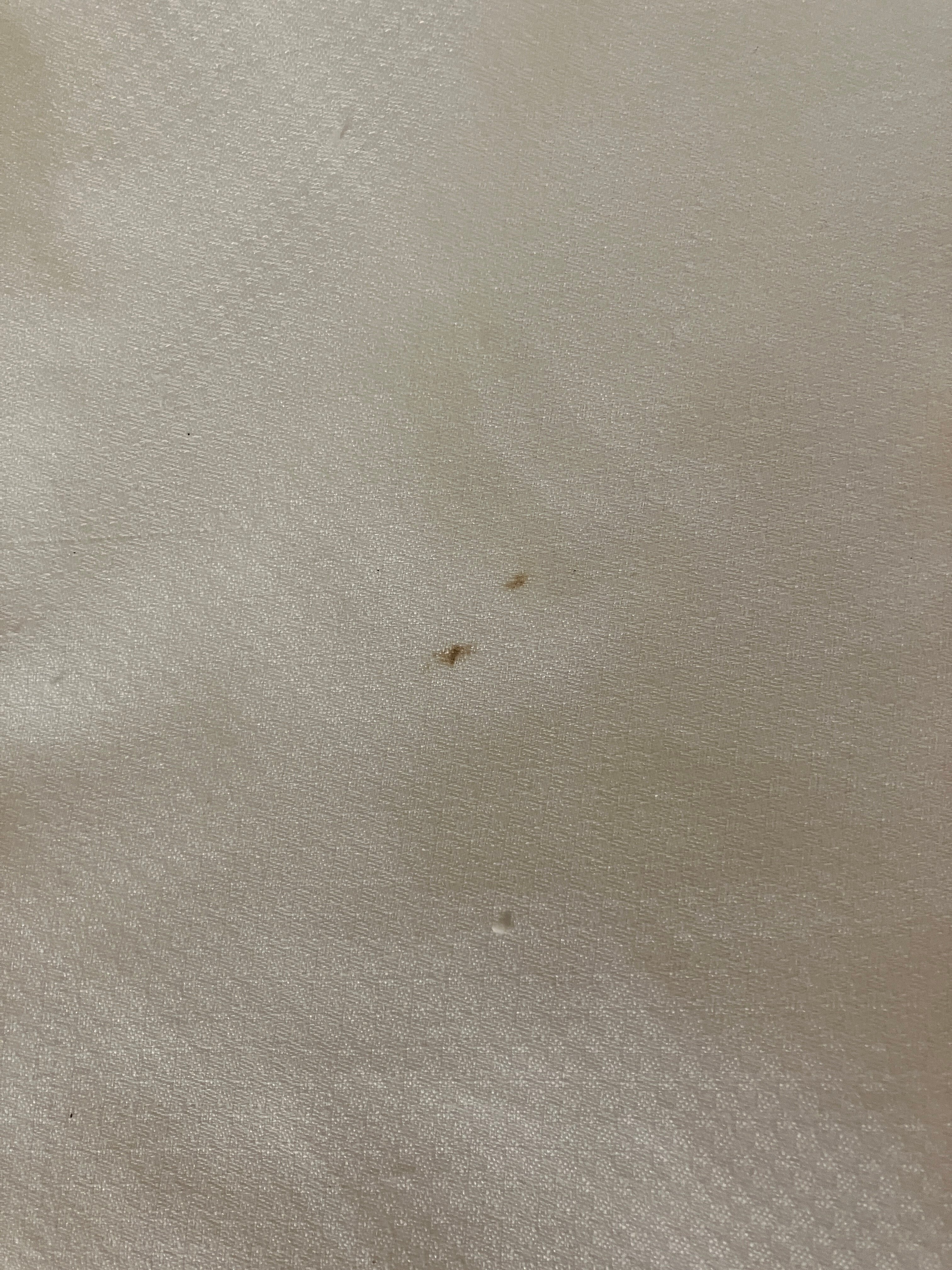 舒适套房酒店-纽华克威尔明顿-客卧