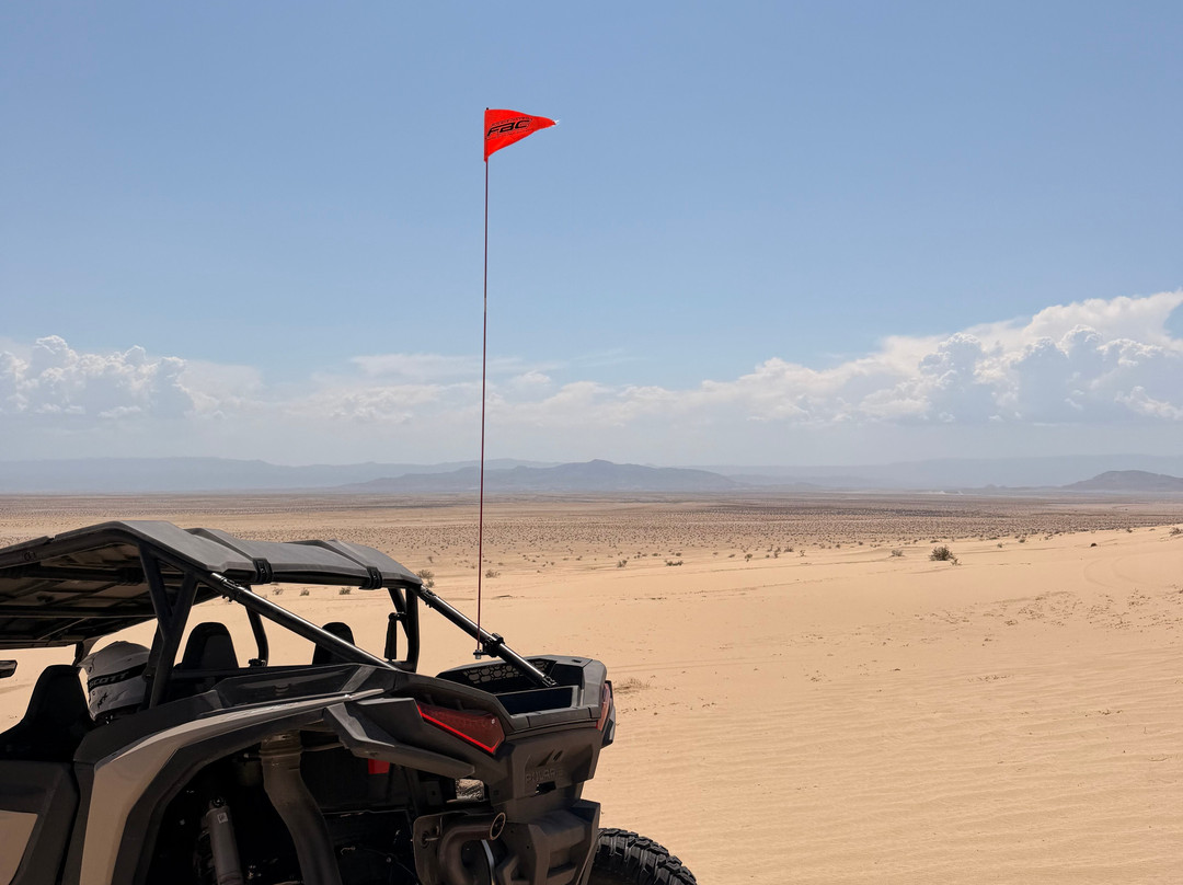 San Diego Dune Tours-Ocotillo必去景点
