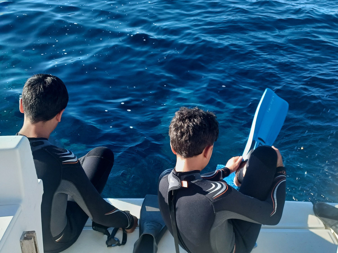 Abyssos Diving School & Snorkeling-Capo Comino必去景点