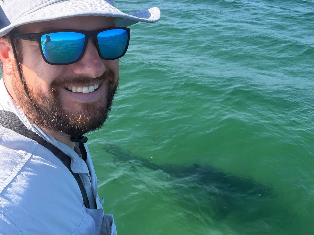 Atlantic White Shark Conservancy Ecotours-查塔姆必去景点