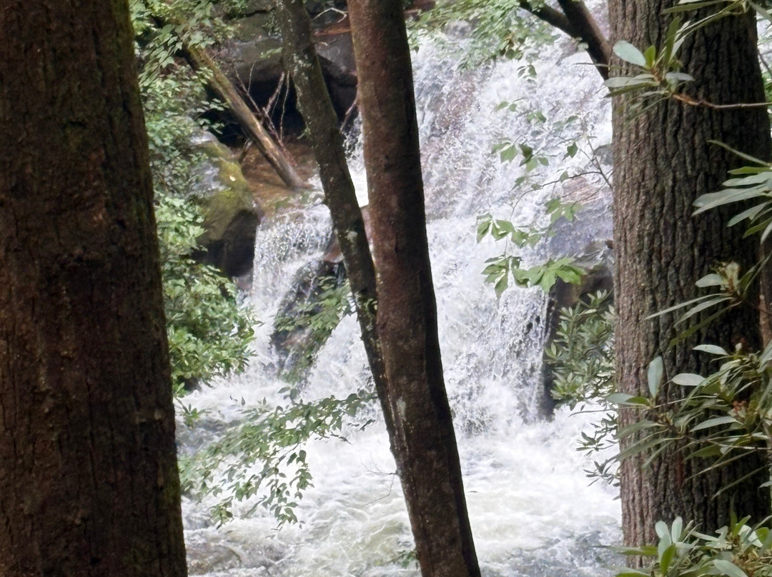 Dukes Creek Falls Trail-海伦必去景点