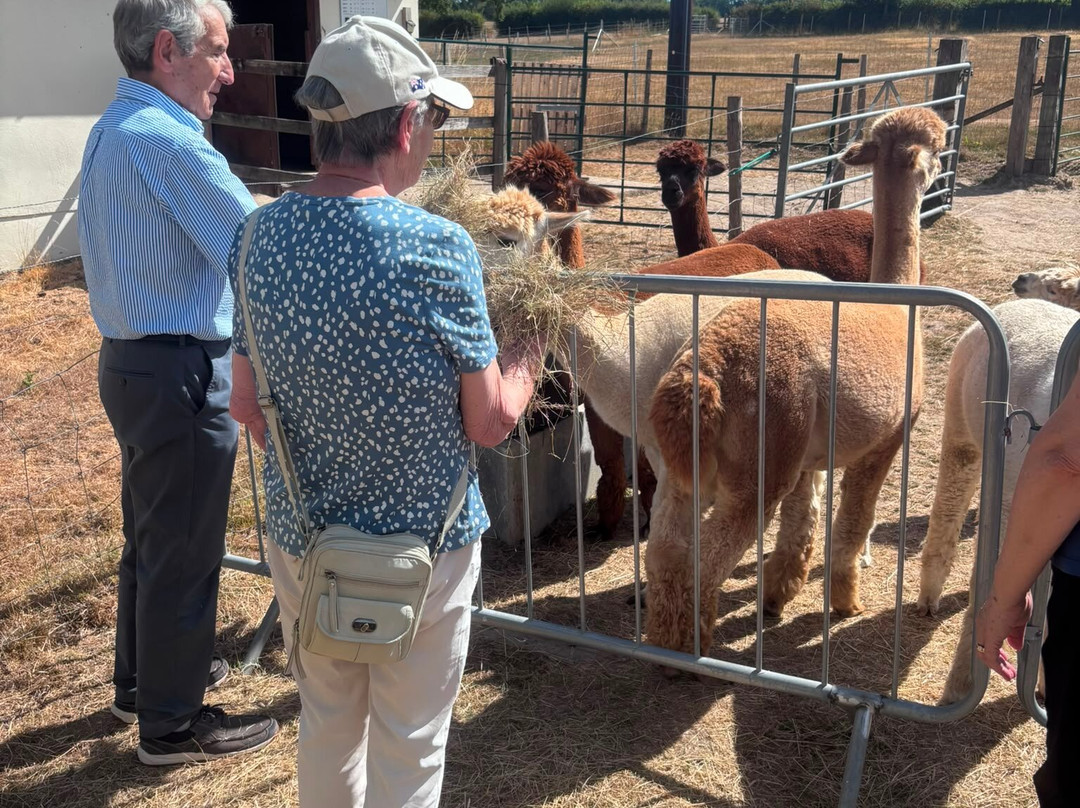 Reservoir Alpacas-Chard必去景点