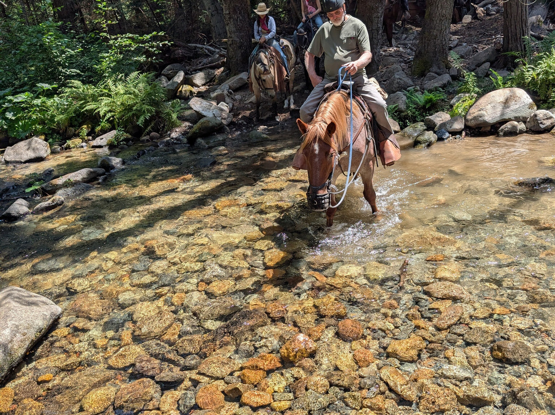 Yosemite Trails Horseback Adventures-菲什营必去景点