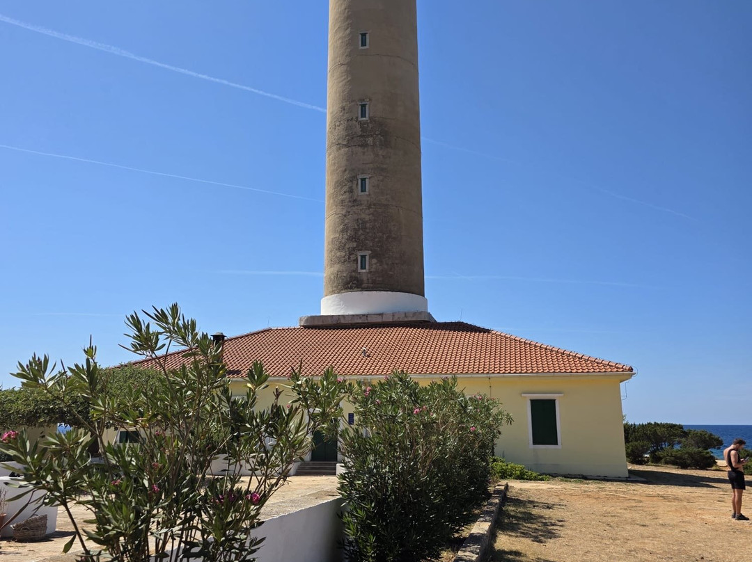 Feel Adriatic Nature Boat Tours Zadar-扎达尔必去景点