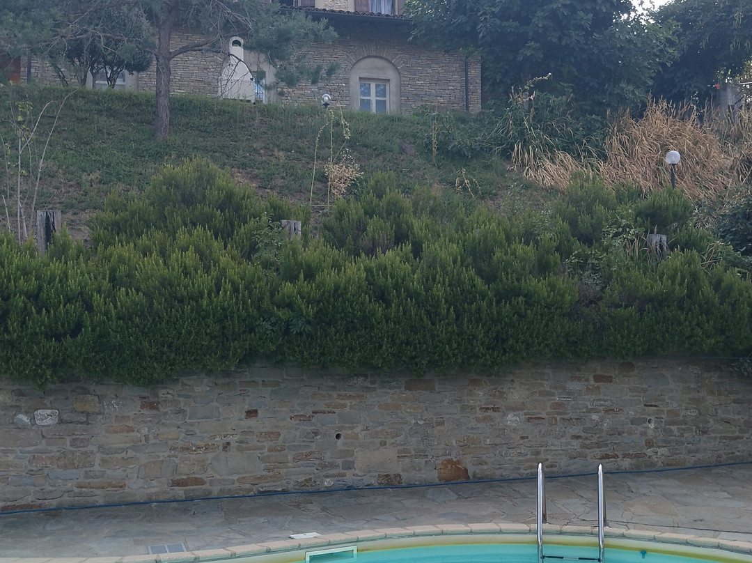 Agriturismo Sondrea主图