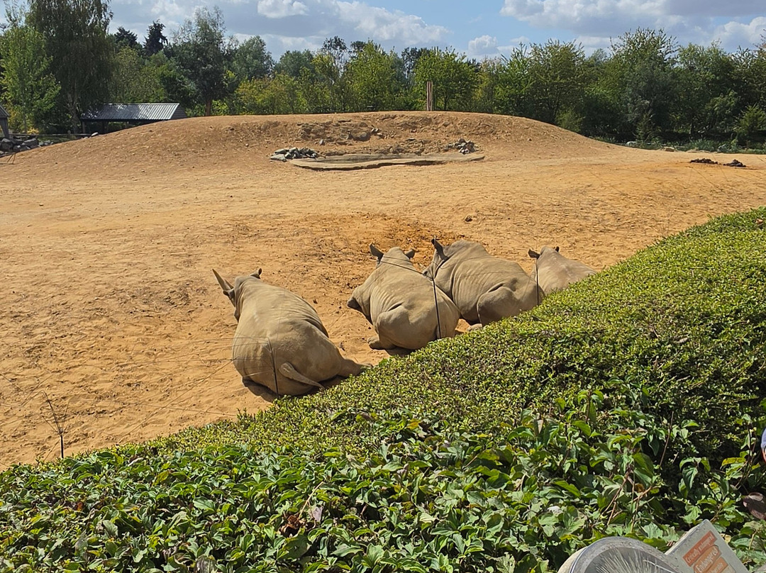 Colchester Zoo-科尔切斯特必去景点