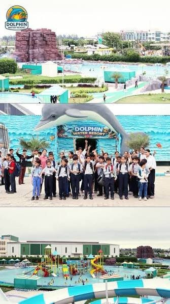 Dolphin Fun and Food