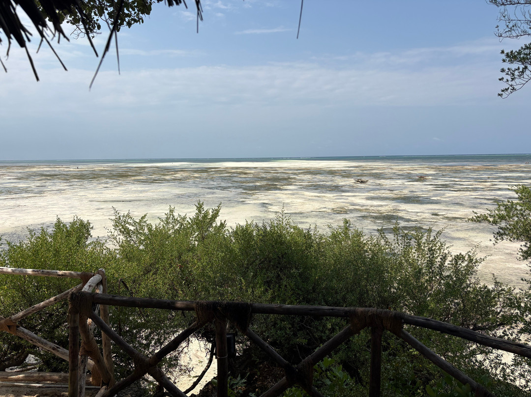 The Island - Pongwe Lodge主图