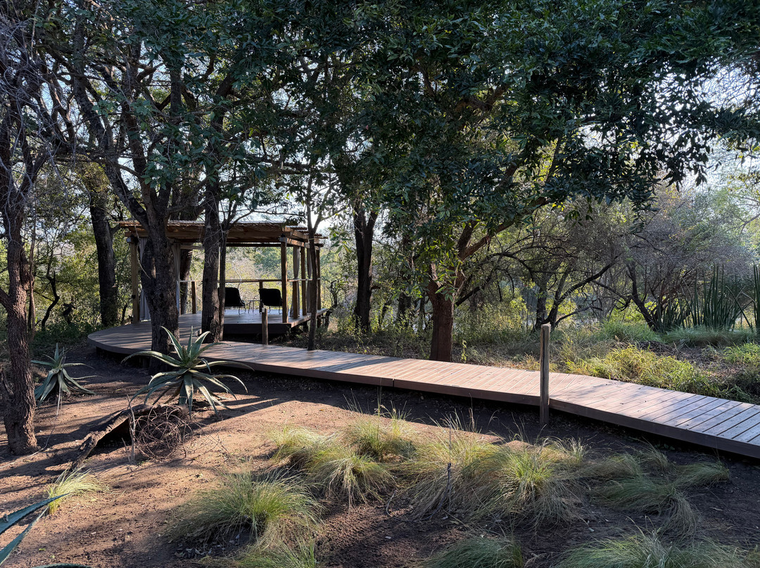 小非洲游猎小屋主图
