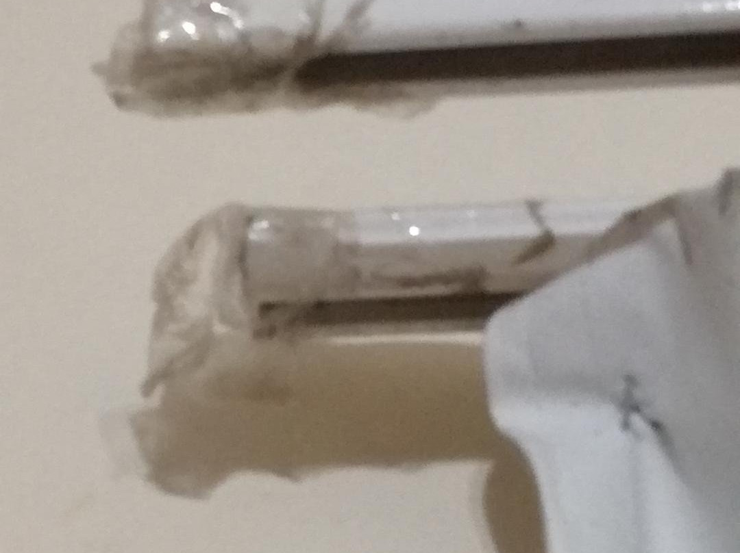 洛斯索西斯酒店主图