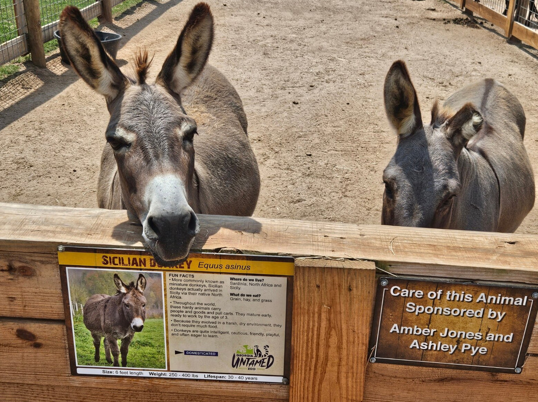 Georgia Untamed Zoo
