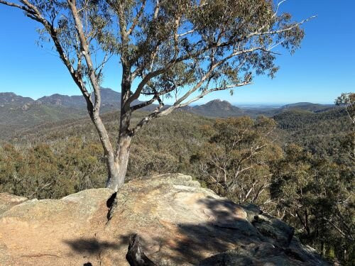 Whitegum Lookout-Coonabarabran必去景点