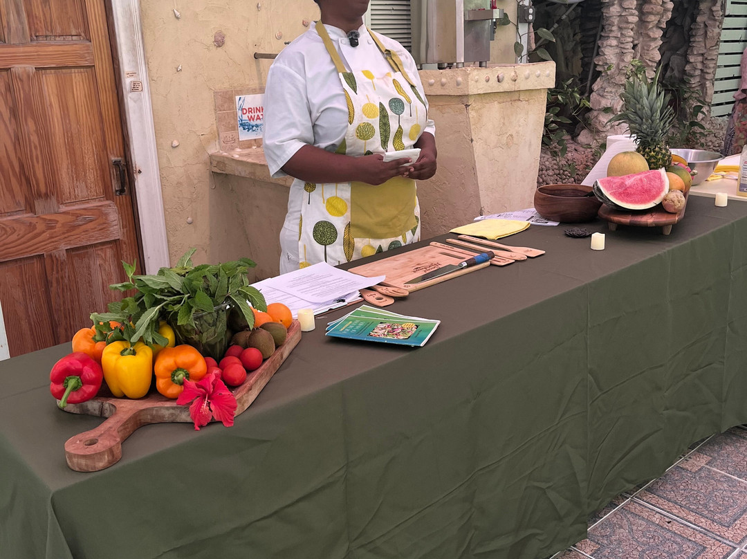 Sivananda Ashram Yoga Retreat Bahamas主图