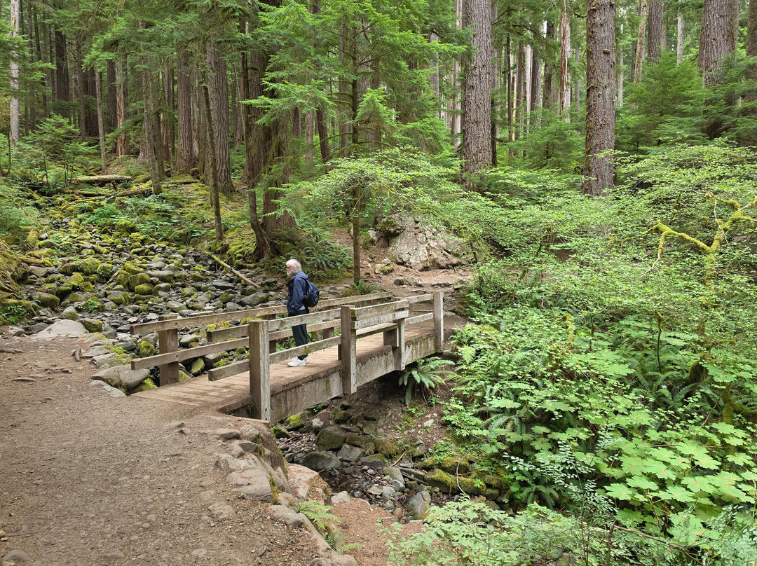 Sol Duc Falls-奥林匹克国家公园必去景点