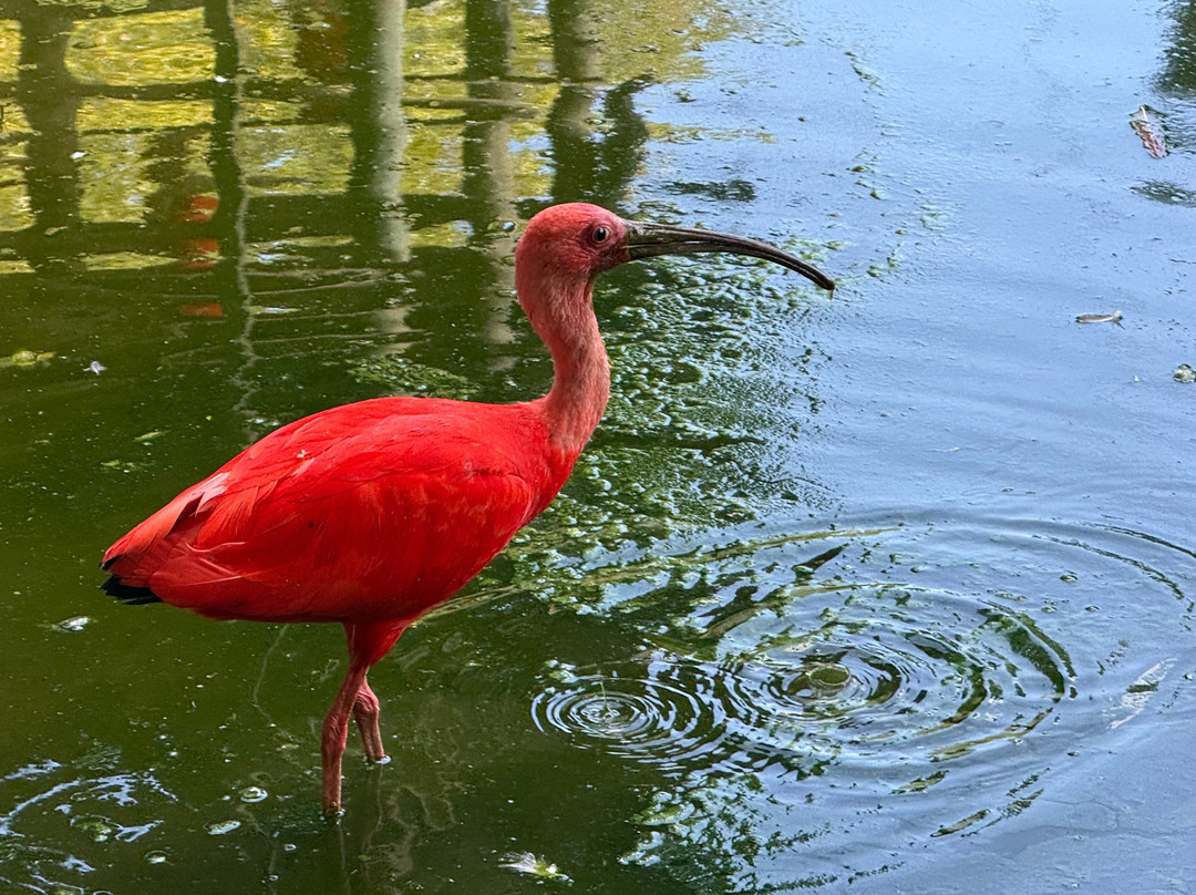 Zoo De Santillana Del Mar-海边的散提亚拿必去景点