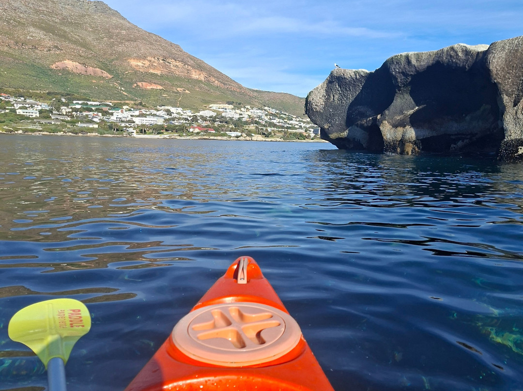 Paddle Experience: Kayak in Cape Town-西门镇必去景点