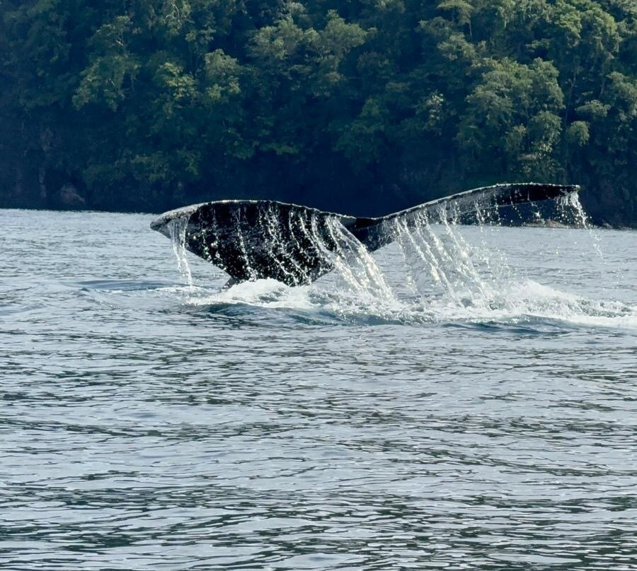 Unlimited Adventures Coiba-Santa Catalina必去景点