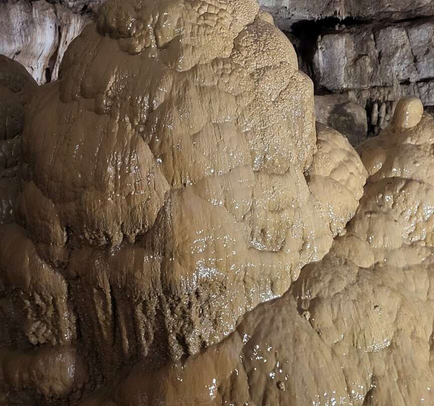 Sataplia Cave and Nature Reserve-Banoja必去景点