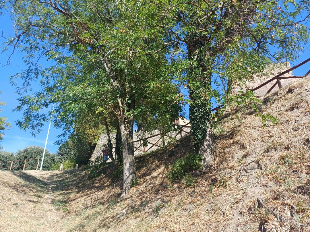 Rocca di Bertinoro