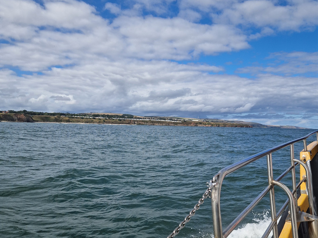 Berwick Boat Trips-特威德河畔贝里克必去景点