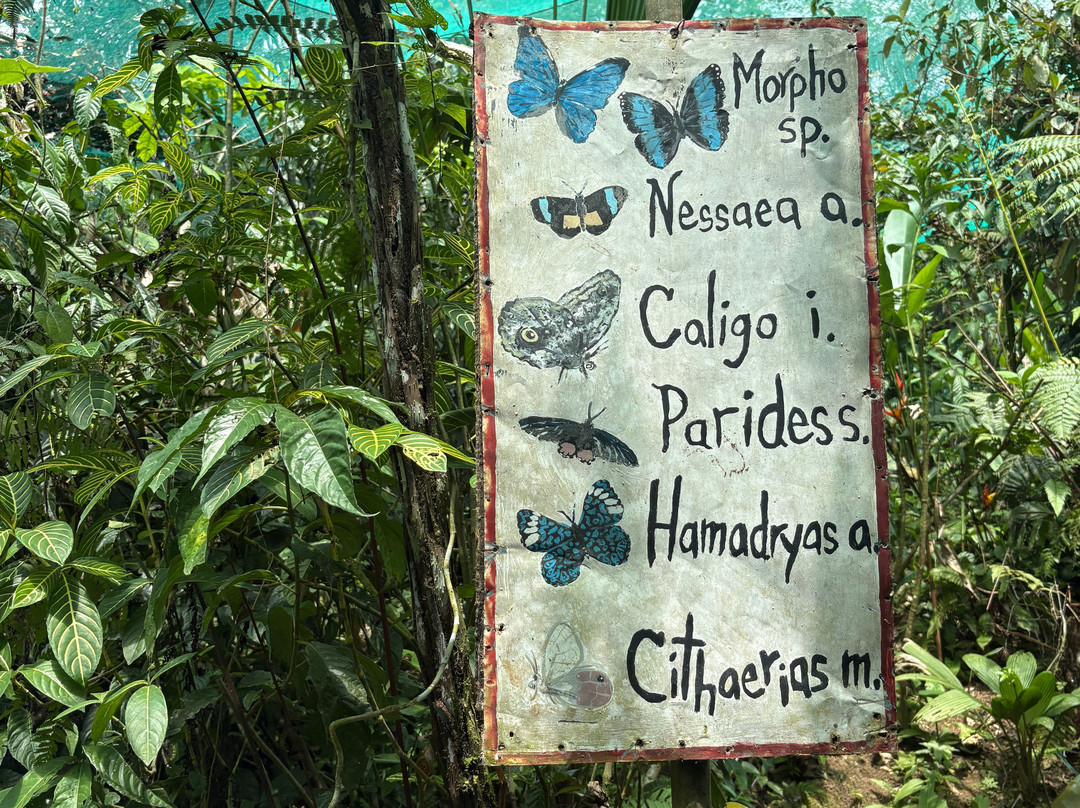 Pilpintuwasi - Wildlife Rescue Center And Butterfly Farm-Padre Cocha必去景点