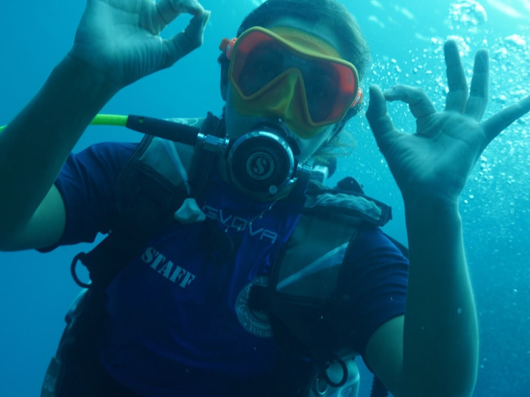 Diving Yoghi-阿格罗波利必去景点