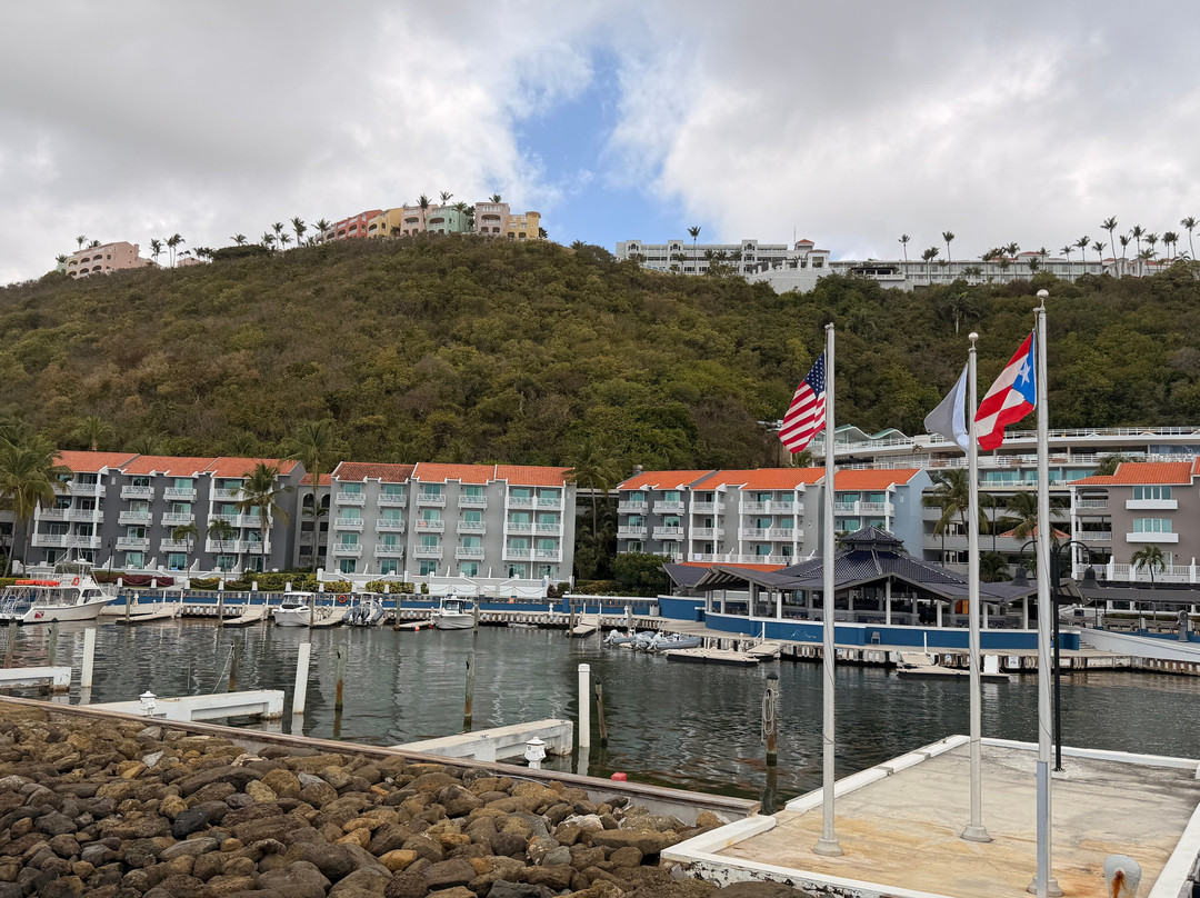 埃尔康基斯塔多尔度假村-波多黎各主图