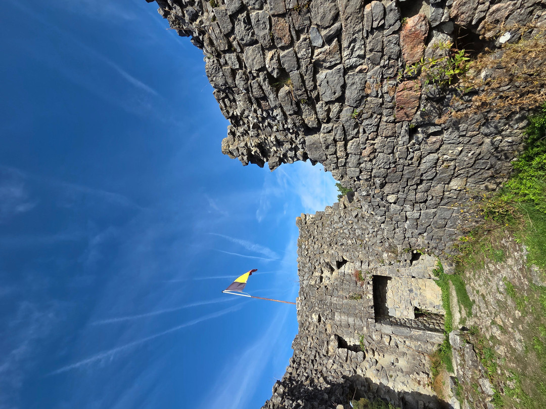 Les ruines du Chateau Fort de Montaigle-Falaen必去景点